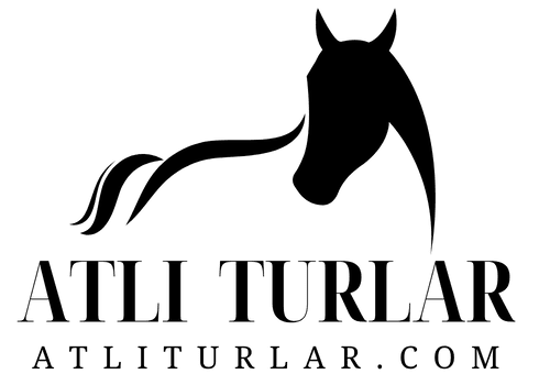 Binicilik Tutkunlarına Özel | Türkiye'nin En İyi At Turları